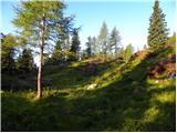 Planina Kosmačeve Rastke - Velika Raduha